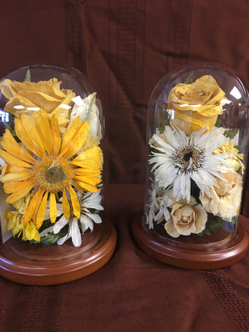 Memorial Domes