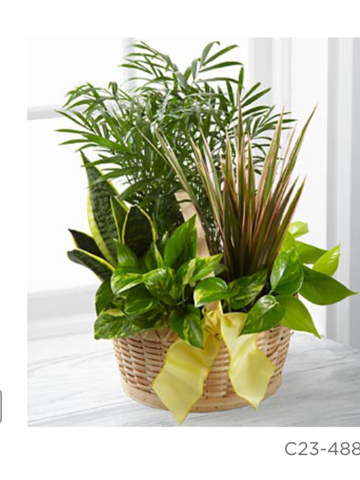 FTD French Garden Basket