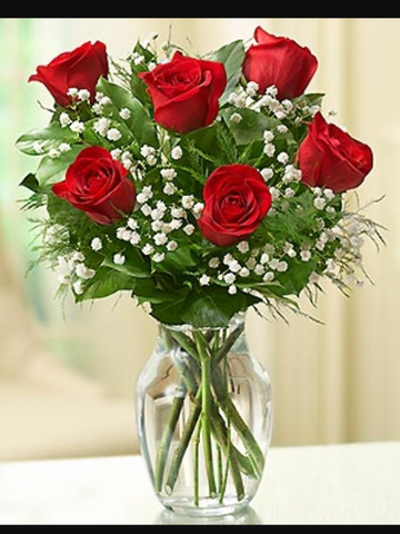 Love's Embrace 6 Red roses